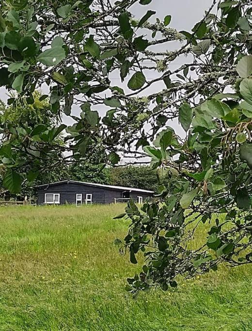 Drummacahan Lodge Ederny Eksteriør billede